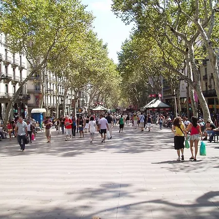 Rambla View